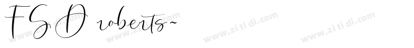 FSD roberts字体转换